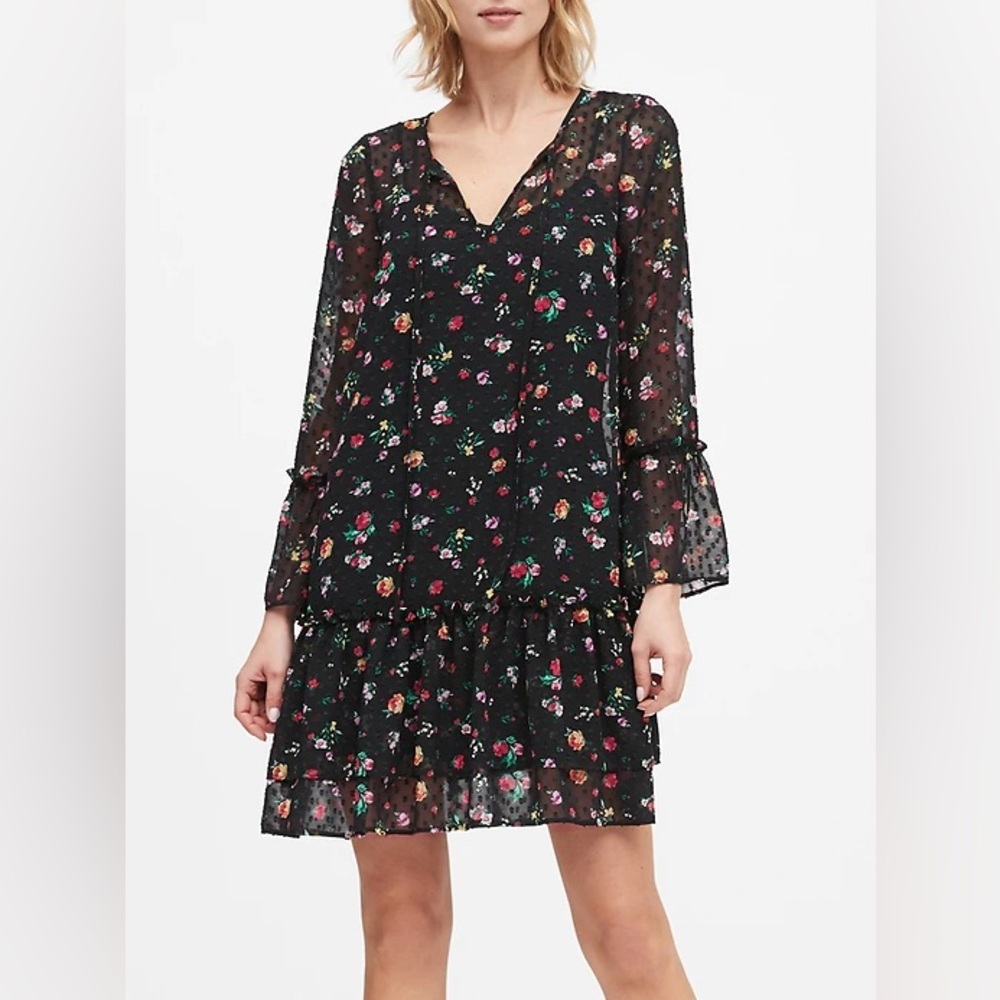 Banana Republic Floral Dress Clip-Dot‎ Ruffle Drop Waist Sheer Long Sleeves Med